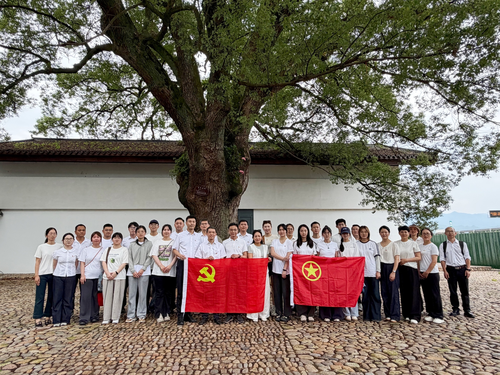 微信图片_20260529170431_26_555_副本.jpg